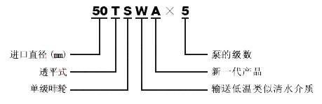 TSWA型多級(jí)臥式離心泵