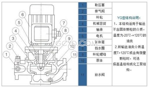 YG型立式管道油泵結(jié)構(gòu)示意圖