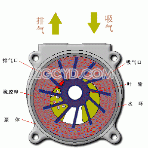 SZ型水環(huán)式真空泵工作原理