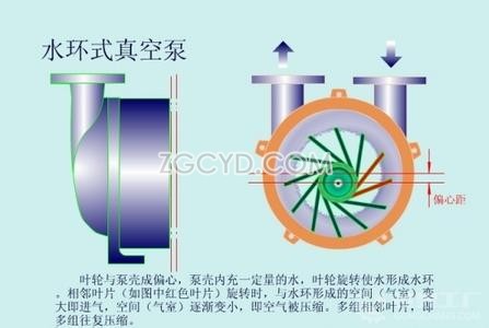 水環(huán)式真空泵工作原理圖