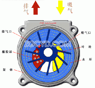真空泵特點