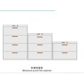 供應(yīng)防潮檔案柜
