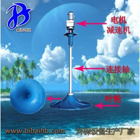 QSJ-2000 硝化池波輪式攪拌機(jī)傘形雙曲面潛水?dāng)嚢铏C(jī)